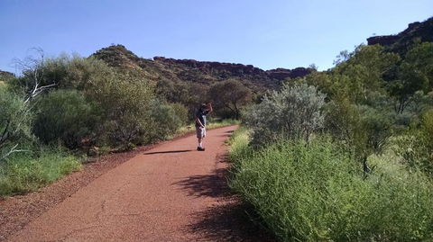 3-Day Tour From Uluru (Ayers Rock) To Alice Springs Via Kings Canyon - Sunshine Coast Guide 4