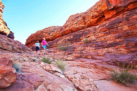 3-Day Tour From Uluru (Ayers Rock) To Alice Springs Via Kings Canyon - Sunshine Coast Guide 27