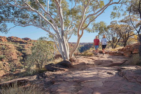 3-Day Tour From Uluru (Ayers Rock) To Alice Springs Via Kings Canyon - Sunshine Coast Guide 26