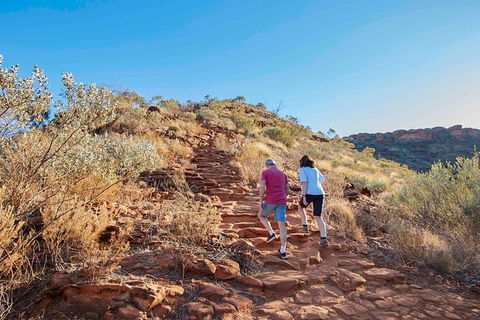 3-Day Tour From Uluru (Ayers Rock) To Alice Springs Via Kings Canyon - Sunshine Coast Guide 19