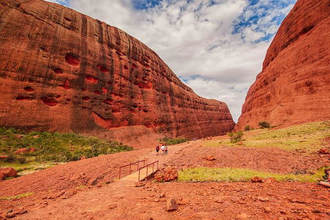 3-Day Tour From Uluru (Ayers Rock) To Alice Springs Via Kings Canyon - Sunshine Coast Guide 21