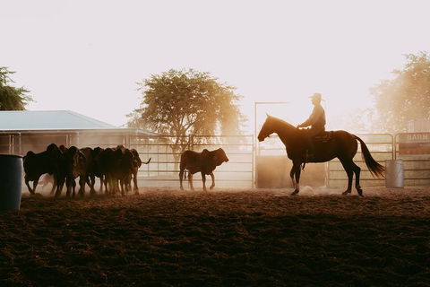 Skip-the-Line Katherine Outback Experience Show Ticket - Sunshine Coast Guide 3