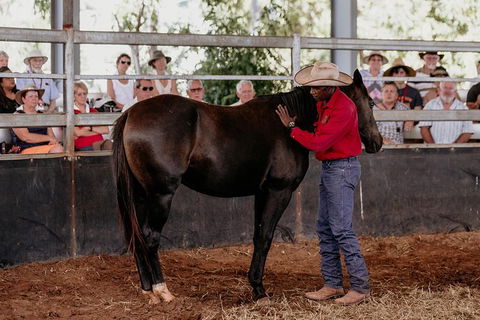 Skip-the-Line Katherine Outback Experience Show Ticket - Sunshine Coast Guide 10