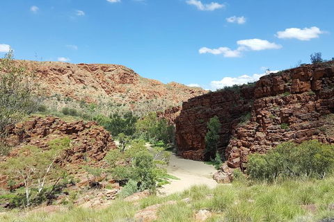 East MacDonnell Ranges 1 Day 4WD Tour - Sunshine Coast Guide 0