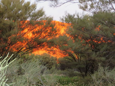 3-Day Ayers Rock, Olgas And Kings Canyon Camping Safari - Sunshine Coast Guide 6