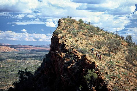 14-Day Larapinta Trail Walking Tour From Alice Springs - Sunshine Coast Guide 0