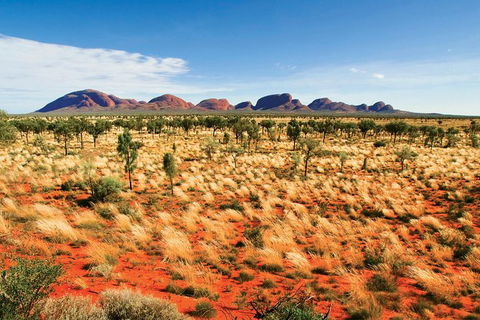 2-Day Uluru (Ayers Rock) And Kata Tjuta Trip From Alice Springs - Sunshine Coast Guide 9