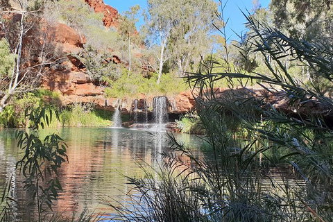 20 Day Darwin To Perth Adventure - Sunshine Coast Guide 10