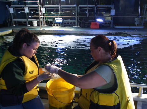 SEA LIFE Sydney Aquarium Entrance Ticket - Sunshine Coast Guide 14
