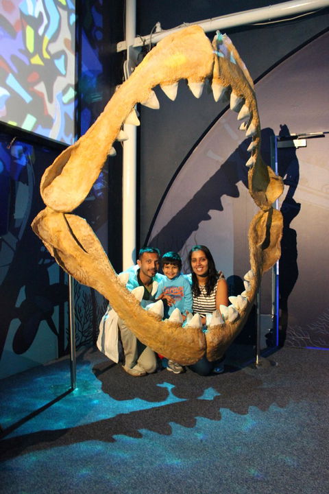 SEA LIFE Sydney Aquarium Entrance Ticket - Sunshine Coast Guide 6
