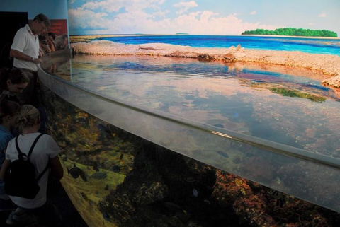 SEA LIFE Sydney Aquarium Entrance Ticket - Sunshine Coast Guide 24