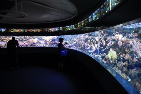SEA LIFE Sydney Aquarium Entrance Ticket - Sunshine Coast Guide 23
