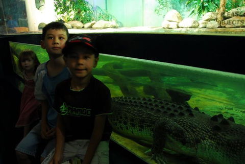 SEA LIFE Sydney Aquarium Entrance Ticket - Sunshine Coast Guide 22