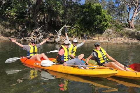 Paddle In Paradise - 4 Hours Double Kayak Hire - Sunshine Coast Guide 0