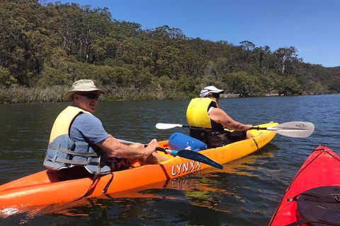 Paddle In Paradise - 4 Hours Double Kayak Hire - Sunshine Coast Guide 4