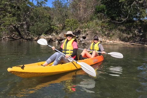 Paddle In Paradise - 4 Hours Double Kayak Hire - Sunshine Coast Guide 6