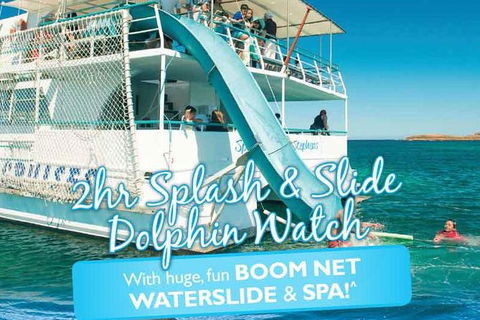 Port Stephens Dolphin Watching Cruise Including Splash And Slide - Sunshine Coast Guide 0
