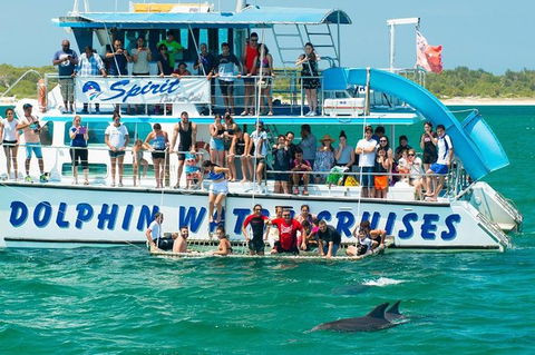 Port Stephens Dolphin Watching Cruise Including Splash And Slide - Sunshine Coast Guide 1