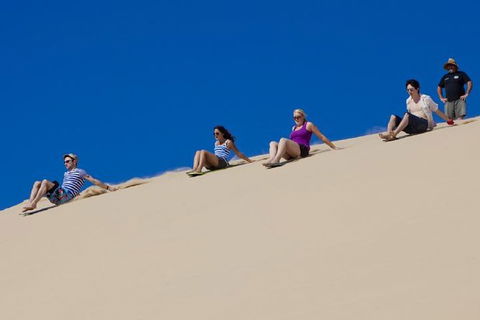 Port Stephens Day Tour From Sydney Including 4WD, Sandboarding And Dolphins - Sunshine Coast Guide 1