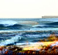 7-Day Byron Bay Evans Head and Moonee Beach Surf Safari from Brisbane Gold Coast or Byron Bay - Sunshine Coast Guide