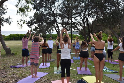 7-Day Byron Bay, Evans Head And Moonee Beach Surf Safari From Brisbane, Gold Coast Or Byron Bay - Sunshine Coast Guide 3