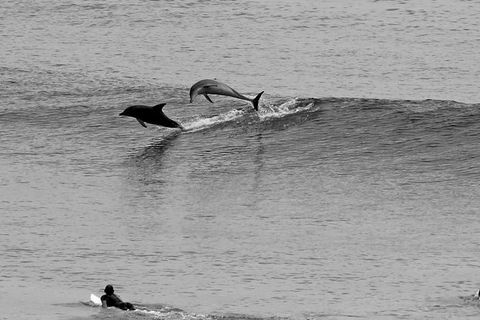 7-Day Byron Bay, Evans Head And Moonee Beach Surf Safari From Brisbane, Gold Coast Or Byron Bay - Sunshine Coast Guide 6
