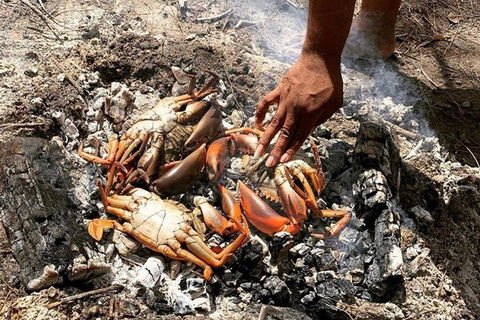 Pot To Plate Adventure - Sunshine Coast Guide 10