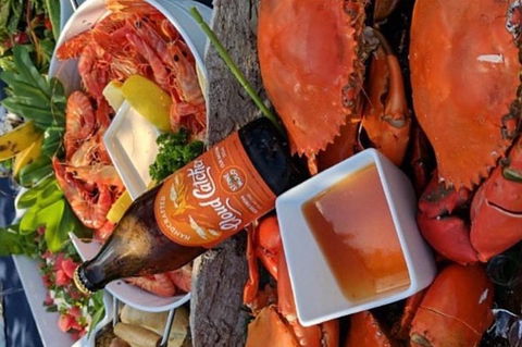 Pot To Plate Adventure - Sunshine Coast Guide 6