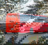 SkyBus Byron Bay Express - Sunshine Coast Guide