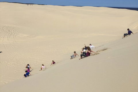 Port Stephens Bush, Beach And Sand Dune 4WD Passenger Tour - Sunshine Coast Guide 2