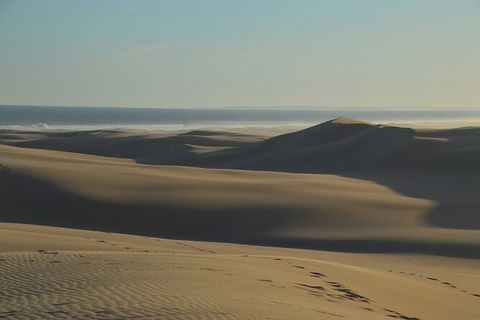 Port Stephens Bush, Beach And Sand Dune 4WD Passenger Tour - Sunshine Coast Guide 6
