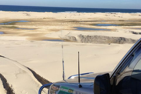 Port Stephens Bush, Beach And Sand Dune 4WD Passenger Tour - Sunshine Coast Guide 4
