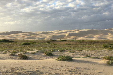 Port Stephens Bush, Beach And Sand Dune 4WD Passenger Tour - Sunshine Coast Guide 3