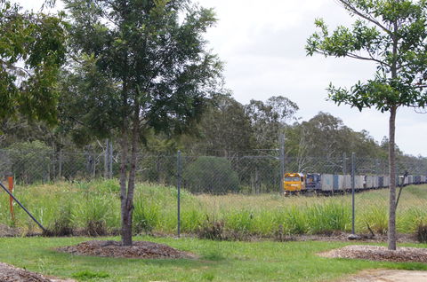 Avondale - Sunshine Coast Guide 0