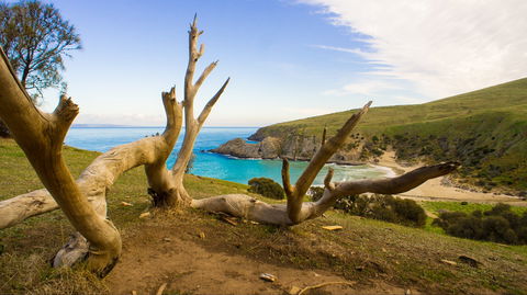 Blowhole Beach - Sunshine Coast Guide 0