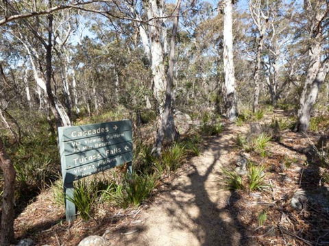 Cascades Walking Track And Viewing Platform - Sunshine Coast Guide 0