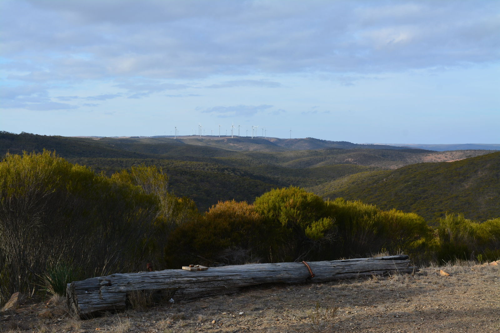 Campoona ACT Sunshine Coast Guide