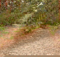 Daleys Point Walking Track - Sunshine Coast Guide