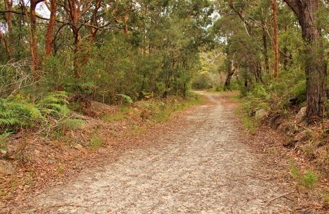 Daleys Point Walking Track - Sunshine Coast Guide 0