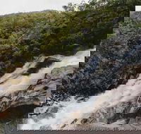 Davies Creek National Park and Dinden National Park - Sunshine Coast Guide