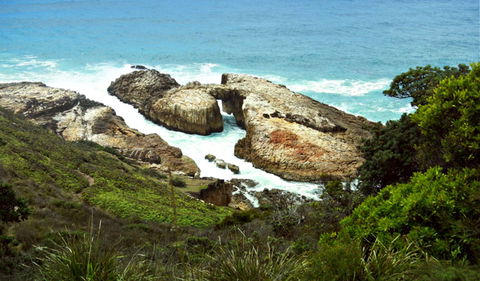 Diamond Head Loop Walk - Sunshine Coast Guide 0