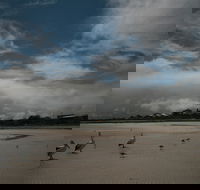 Hardwicke Bay - Sunshine Coast Guide