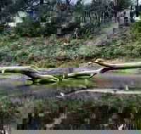 Kayaking Upper Tuross River and Bumbo Lake - Sunshine Coast Guide