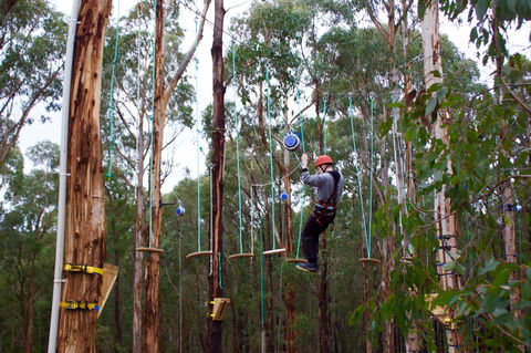 Kinglake Forest Adventures - Sunshine Coast Guide 0