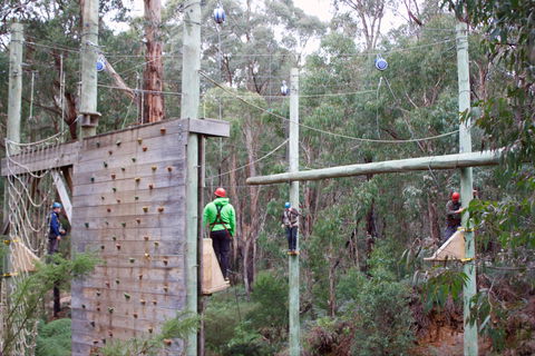 Kinglake Forest Adventures - Sunshine Coast Guide 1