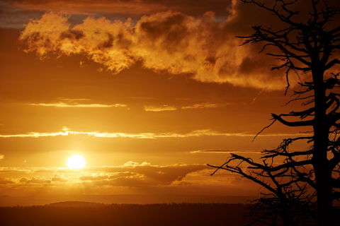 Lady Stonehavens Lookout - Sunshine Coast Guide 0