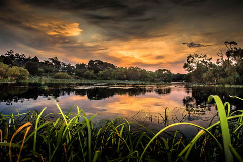 Lake McIntyre - Sunshine Coast Guide 0