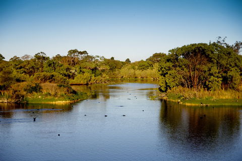 Lake McIntyre - Sunshine Coast Guide 2