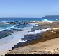 Little Shelley - Sunshine Coast Guide