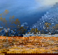 Lyn Barnes Gallery - Sunshine Coast Guide